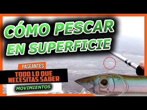 Video: Cuándo usar señuelos de superficie para lubinas