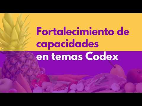 Di&aacute;logo alto nivel: Implicaciones del conflicto en el Medio Oriente en los sistemas agroalimentario