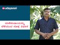 ಬಾಳೆಕಾಯಿಯನ್ನು ಬೆಳೆಯುವ ಸೂಕ್ತ ವಿಧಾನ | How to grow healthy Banana Tree | Udayavani