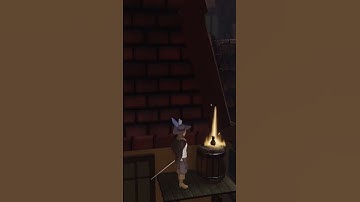 🛡️ First Look at Our Item Display System! 🏹 Three Musketeers