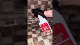 Cockroach Hunter Spray - Best Killer Spray | Odourless & Super Effective