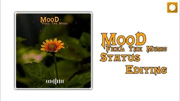 Mood Feel The Music Status Video Editing | Avee Player New Template | Whatsapp Status Video Editing