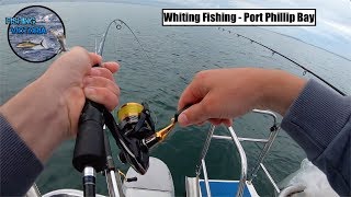 G'day legends! in this episode, we head on the water chasing best
eating fish bay, king george whiting! bagged and all solid fish.
enjoy! ↓↓↓↓...