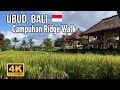 Campuhan ridge walk ubud bali  walking tour 4k       
