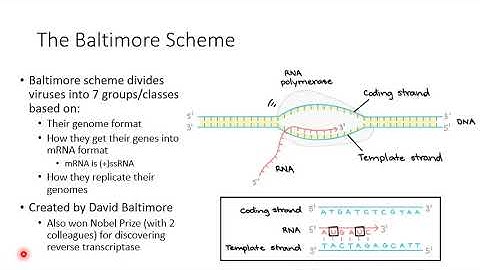 Ch 10 Viral Genomics, Diversity and Ecology