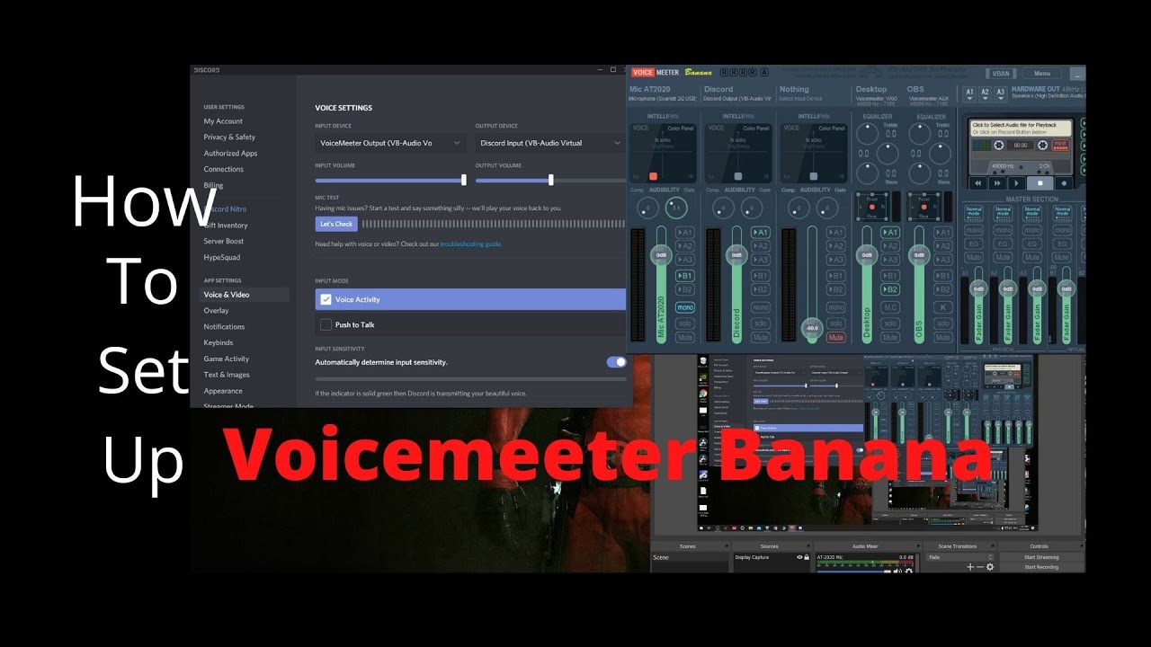 voicemod pro and voicemeeter banana