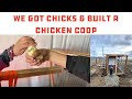 Building a chicken run and getting chicks for our homestead barndo in idaho