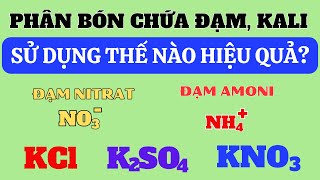 Tổng hợp về phân bón chứa đạm và Kali | Đạm nitrat - Đạm amoni | Kali hóa học: KCl, K2SO4, KNO3