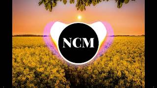 Markvard - Catch Our Moment (No Copyright)