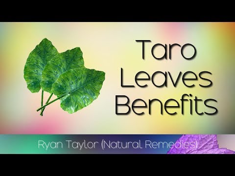 Taro Leaves: Benefits and Uses