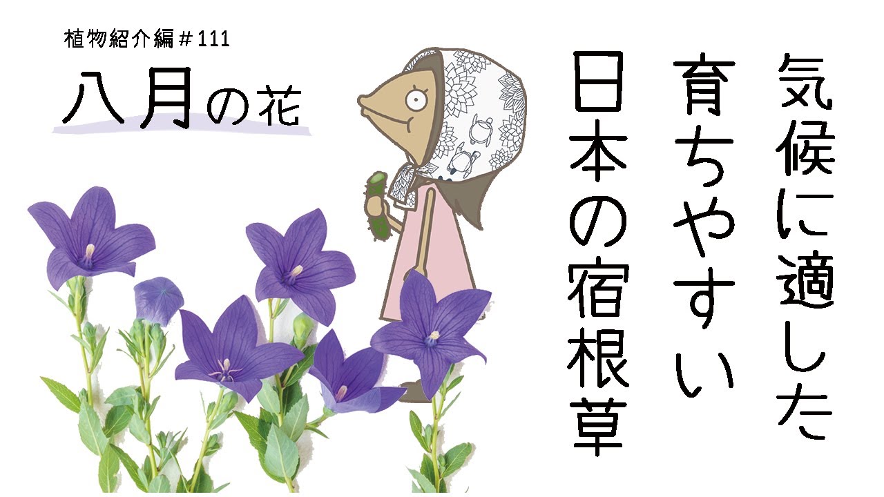 A Flower in the 笑顔の花が咲く（英語、日本語） 2冊 A Flower