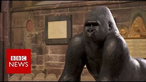 How Contemporary sculptures are made? - BBC News