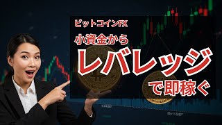 【ビットコインFX】レバレッジ取引で毎日1万円稼ぐ！実践ガイド