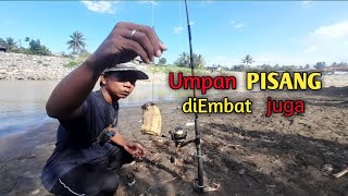 Ternyata UMPAN PISANG JITU juga untuk MANCING IKAN PATIN