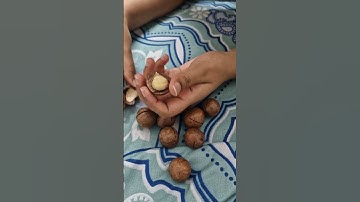 Trying macadamia Nuts for the first time😋 #weightloss #macadamianuts #healthy