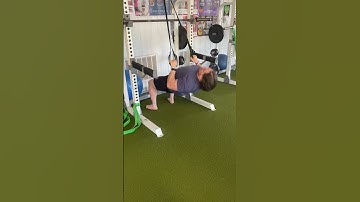 Bodyweight Rows