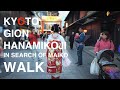 Kyoto Gion Hanamikoji In Search Of Maiko Walk / 京都 祇園 花見小路 舞妓さんを探して 散歩