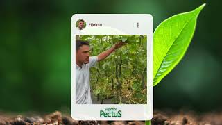 Saiba Porque Nossos Clientes E Parceiros Escolhem A Technes