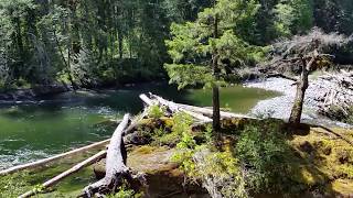 Chemainus River Park
