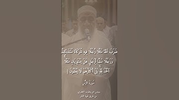 تلاوة من صلاة التهجد _ رمضان