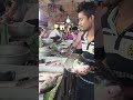 কাকার কাছে দারুন দারুন মাছের ছড়া ছড়ি #youtubeshorts #fish #fishmarket #fishing #fishinglife