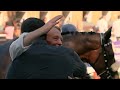 Piet Botha on his two runners on the 2024 L'Omarins King's Plate day