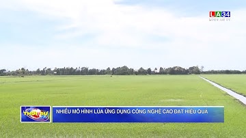 Nhiều mô hình lúa ứng dụng công nghệ cao đạt hiệu quả | LONG AN TV