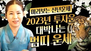 [2023년 운세] 2023년 계묘년에 무조건 대박나는 호랑이띠운세 │투자운 들어와서 초대박나는 호랑이띠운세…