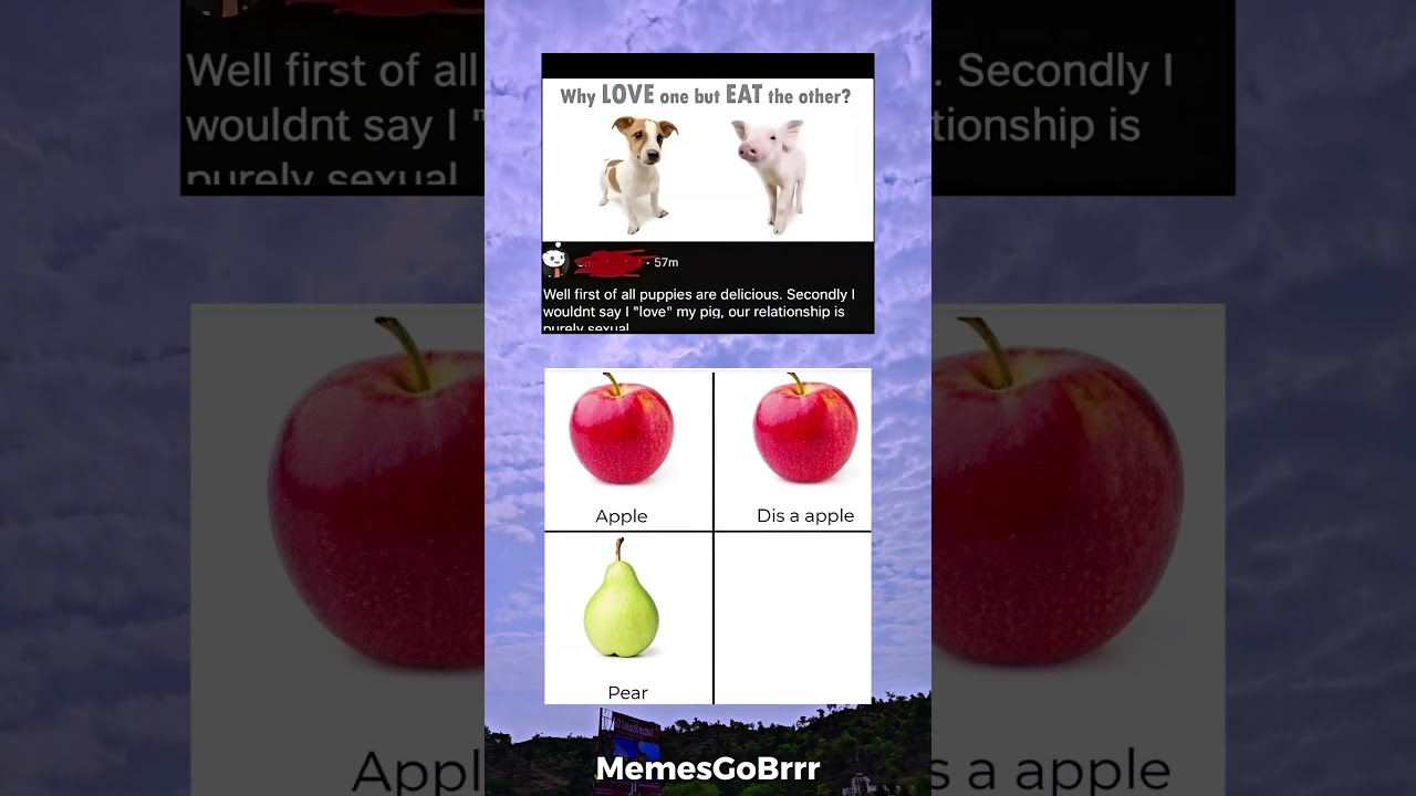 Bro The First One Memes Funny