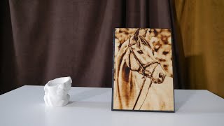 Картина на берёзе "Лошадь крупным планом"