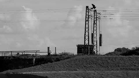 Lost Frequency Array - Radiance