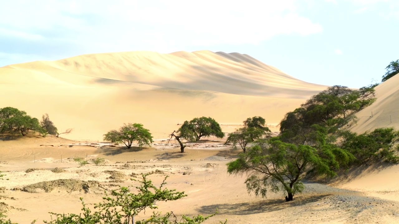 Gastrimargia, kenodoksja i filarchia - jak zwyciężać trzy pożądania na pustyni