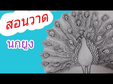 วีดีโอ: วิธีการวาดนกยูง