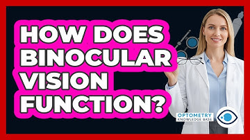 How Does Binocular Vision Function?