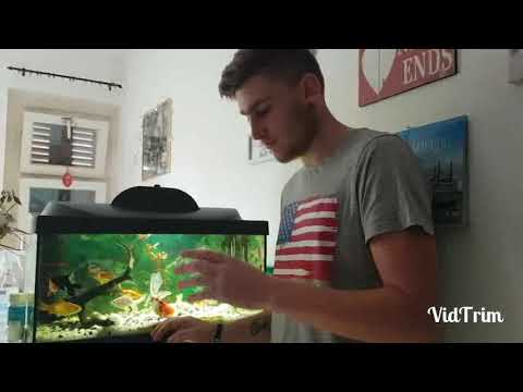 Video: Kako Očistiti Staklo U Akvarijumu