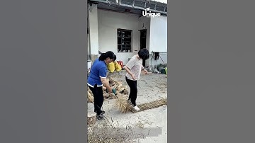 Making straw mats: people making straw mats or screens
