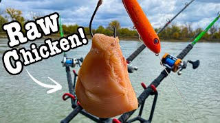 Fishing W/ Huge Chicken Baits For Big Fish In Deep Waters!!! (Cold Weather Fishing!!)