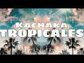 Kachaka tropicales enganchados