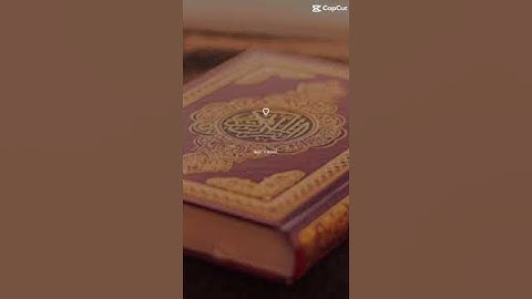 don’t scroll watch this video it will help you