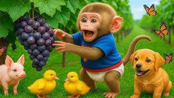 Monkey Milo Drives Tractor to Save the Lost Duckling 🐥🚜 | An Unbelievable Farm Adventure!