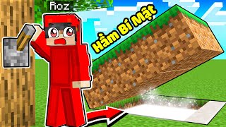 Roz Thử Thách 24h Khám Phá Căn Hầm Bí Mật Dưới Lòng Đất Trong Minecraft