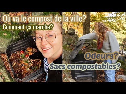 Vidéo: Ajouter du savon au compost : pouvez-vous mettre des restes de savon dans le compost ?