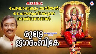 ചേലൊഴുകും ദേവിതൻ ചൈതന്യം നിറയുന്ന ഭക്തിഗാനങ്ങൾ | DEVI DEVOTIONAL SONGS MALAYALAM | Devotional