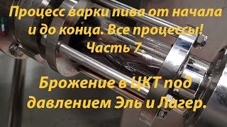 Как я варю пиво. Часть 7. (Брожение в ЦКТ под давлением).