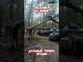 Везение на войне Каску надо Одевать #армиярф #армияроссии #историярф #приколы #историявойны