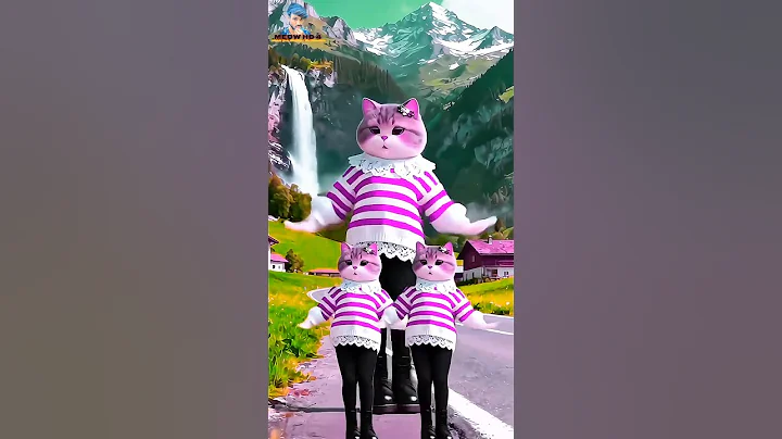 Video 11890241: kitty cat dance, kitty cat dance funny, cat dance best funny