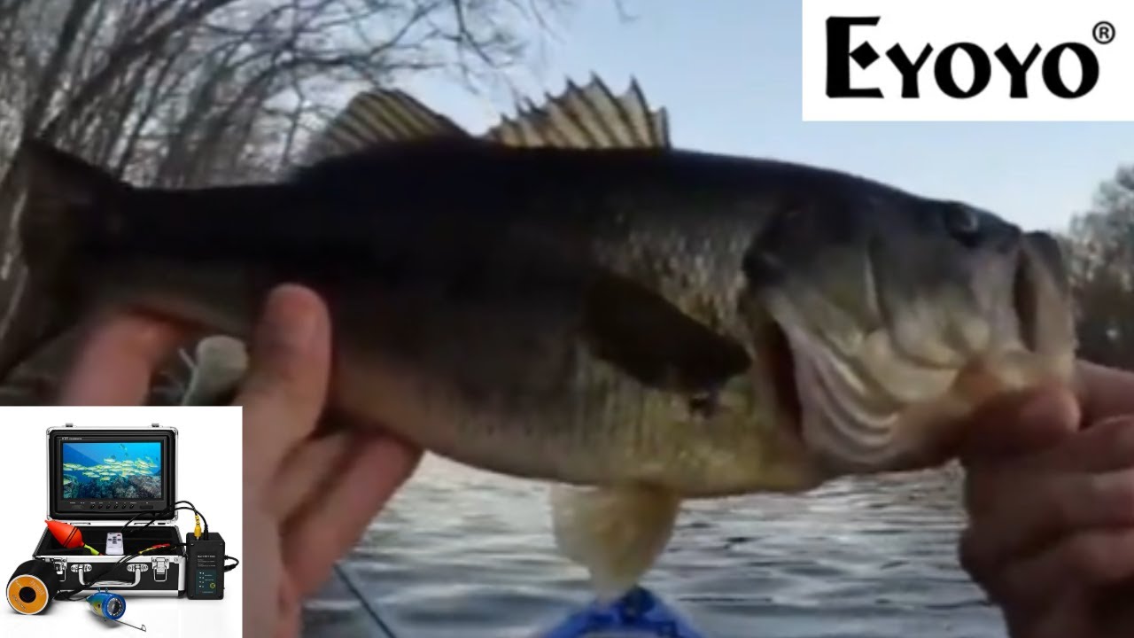 Fall Multispecies Fishing + Eyoyo Underwater Camera Review! #bassfishing