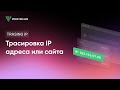 Трассировка IP адреса или сайта