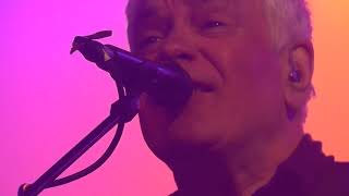 Wedding Present - Palisades (Live)