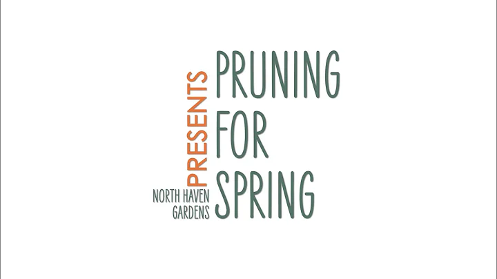 Pruning Perennials for Spring 🌱 | Expert Tips with Rusty Allen at North Haven Gardens